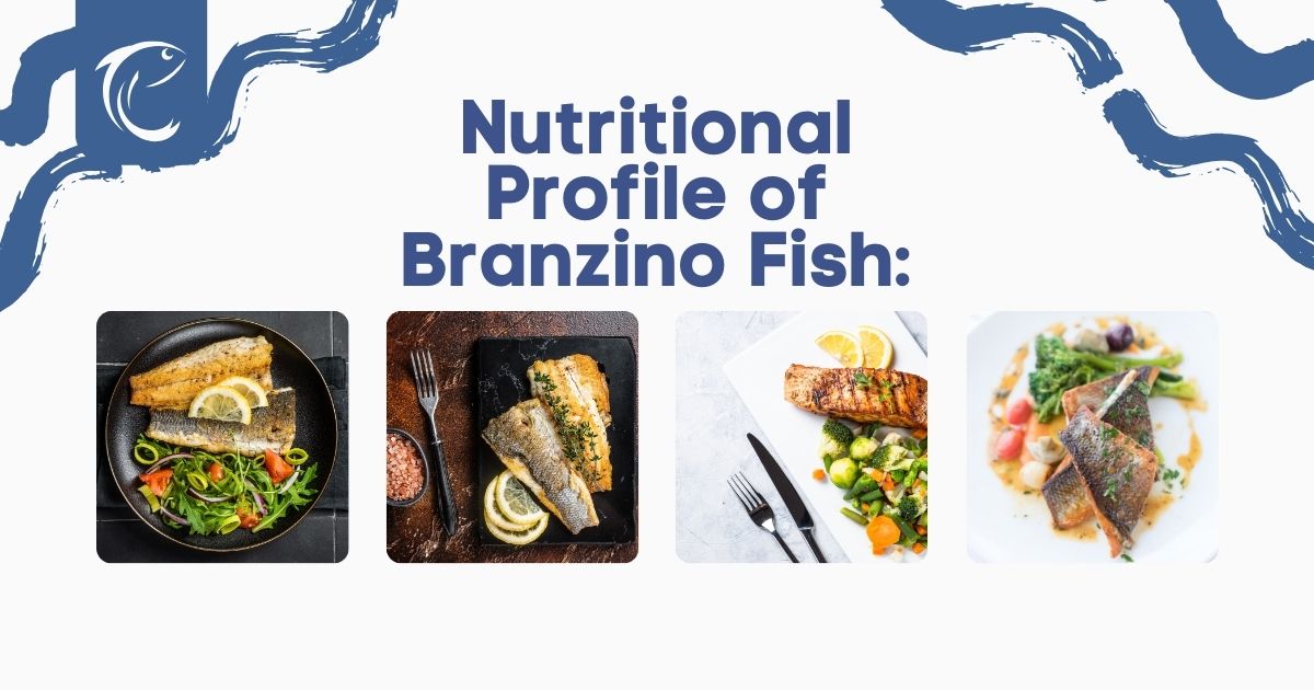 Branzino-Fish