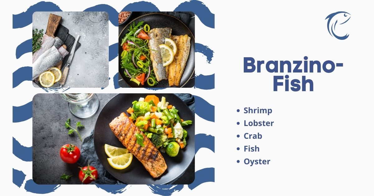 Branzino-Fish